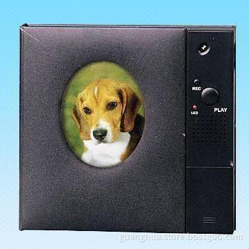 Digital Photo Frame, Can Record Multiple Messages and Hold 16 Photos, 2 x UM4 Power
